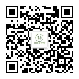the qr code