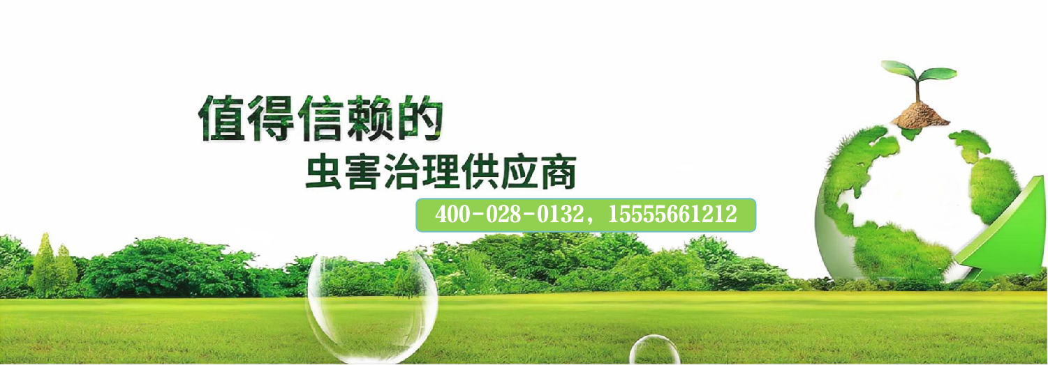 广告标题