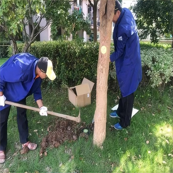 园林绿化白蚁防治